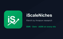 iScale Niches Logo